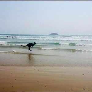 Meet your Posher, Lucy